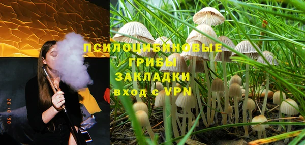 МДПВ Вязьма